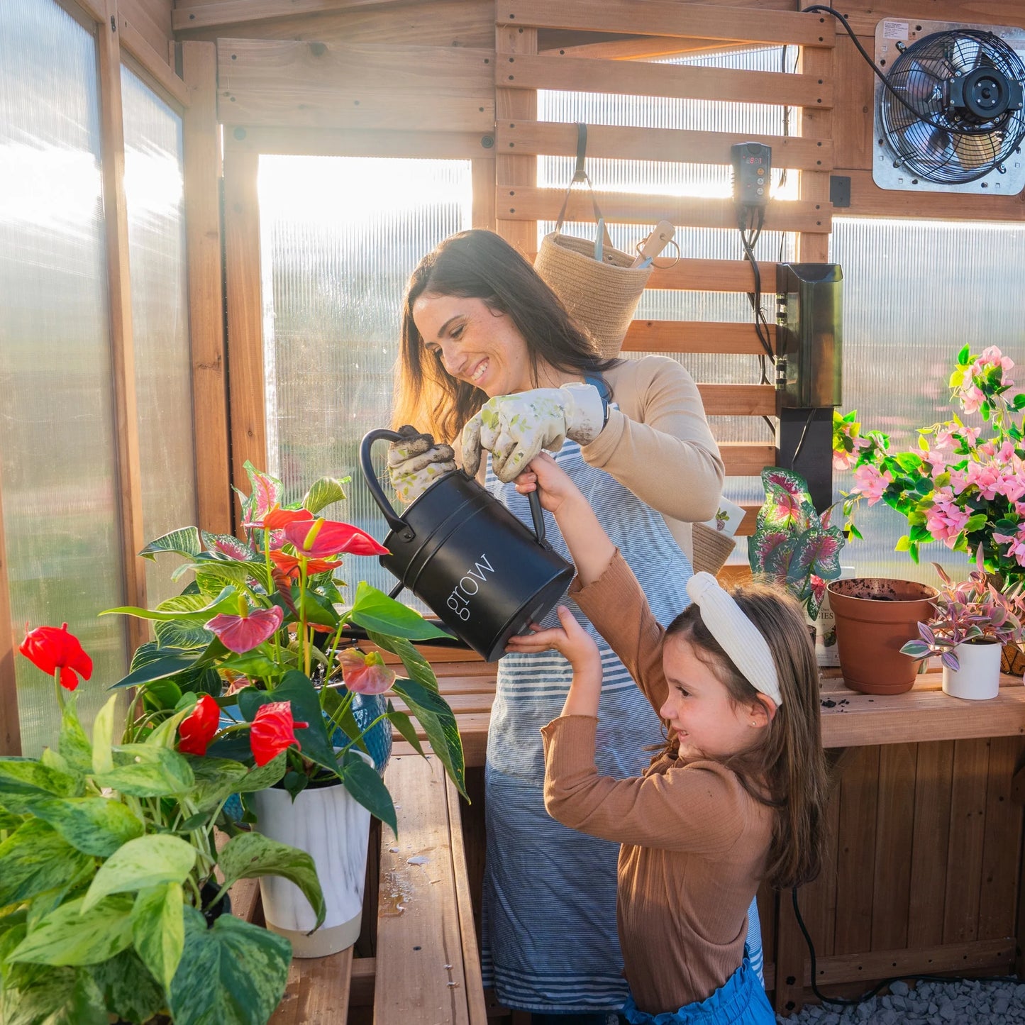 9 X 6 Willow Greenhouse