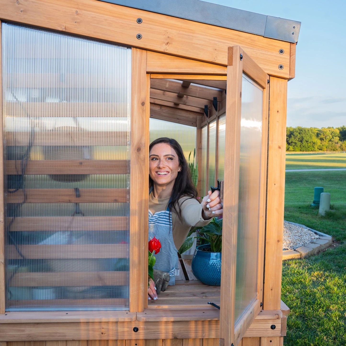 9 X 6 Willow Greenhouse