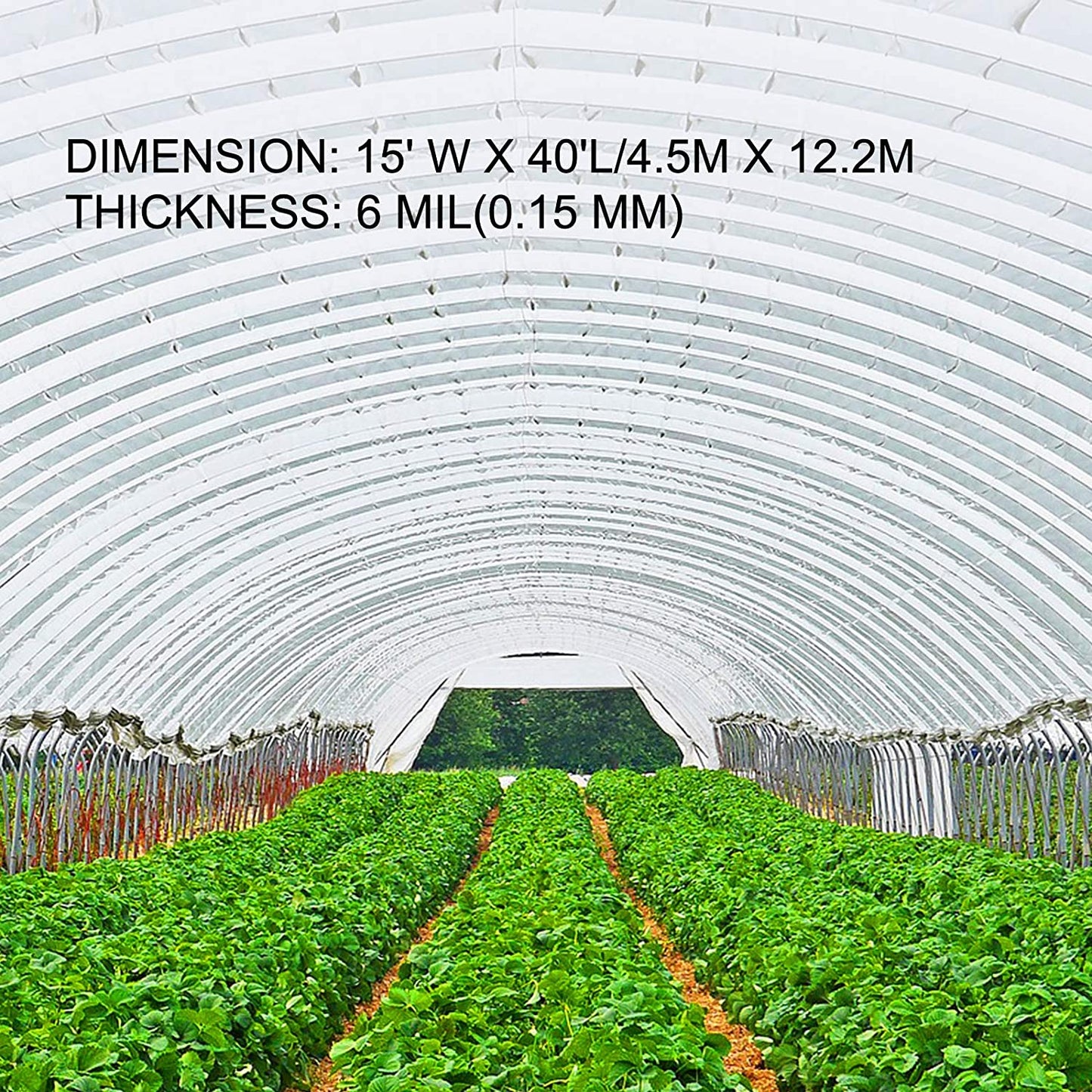 Greenhouse Film 15 X 40 Ft, Greenhouse Polyethylene Film 6 Mil Thickness, Greenhouse Plastic Greenhouse Clear Plastic Film UV Resistant, Polyethylene Film Keep Warming, Superior Strength