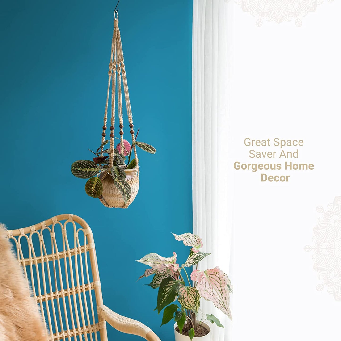 Macrame Plant Hanger