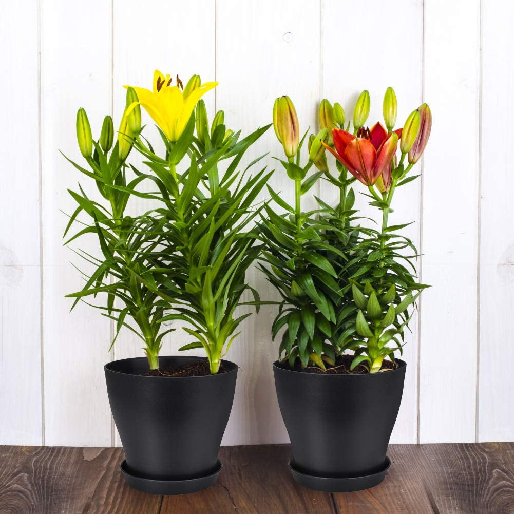 Plant Pots, Set of 15 Plastic Planters with Multiple Drainage Holes Black