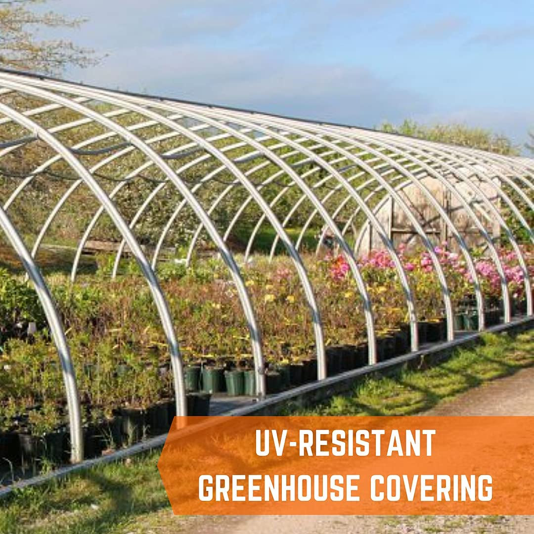 - Black & White Greenhouse Plastic Sheeting - 6 Mil - (24' X 10') - 90% Reflective Green House Covering Film for Farming, Gardening, Agriculture