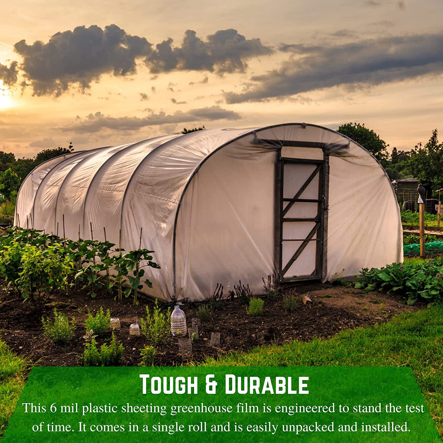- Clear Greenhouse Plastic Sheeting - 6 Mil - (25' X 40') - 4 Year UV Resistant Polyethylene Greenhouse Film, Hoop House Green House Cover for Gardening, Farming, Agriculture