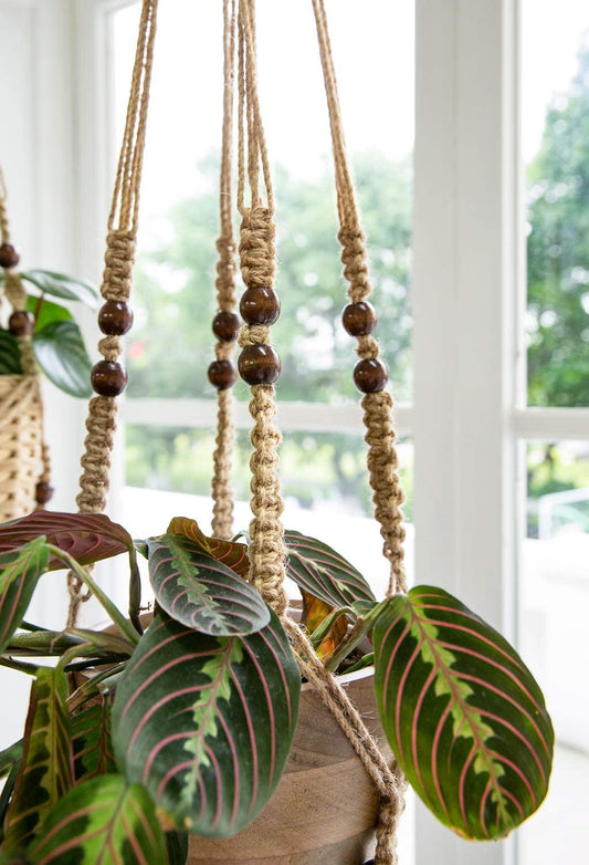 Macrame Plant Hanger 