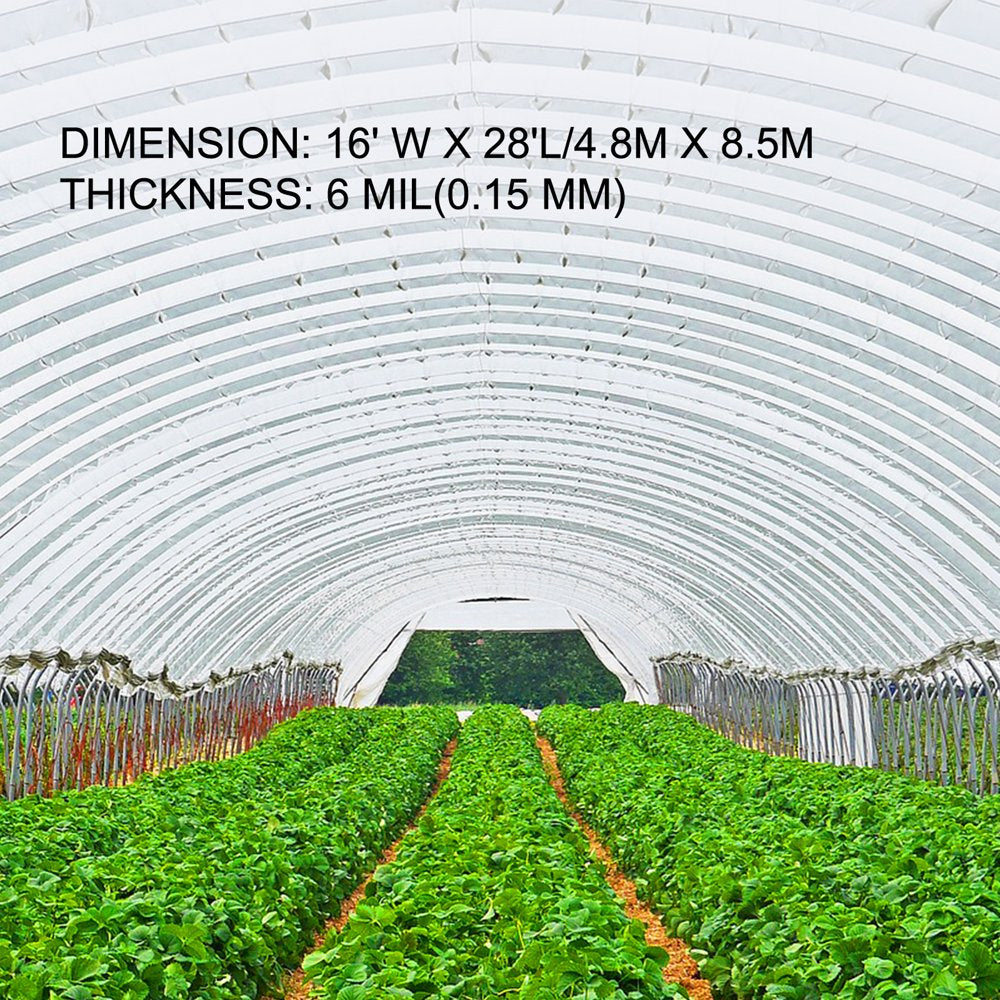 Greenhouse Film 16 X 28 Ft, Greenhouse Polyethylene Film 6 Mil Thickness, Greenhouse Plastic Greenhouse Clear Plastic Film UV Resistant, Polyethylene Film Keep Warming, Superior Toughness