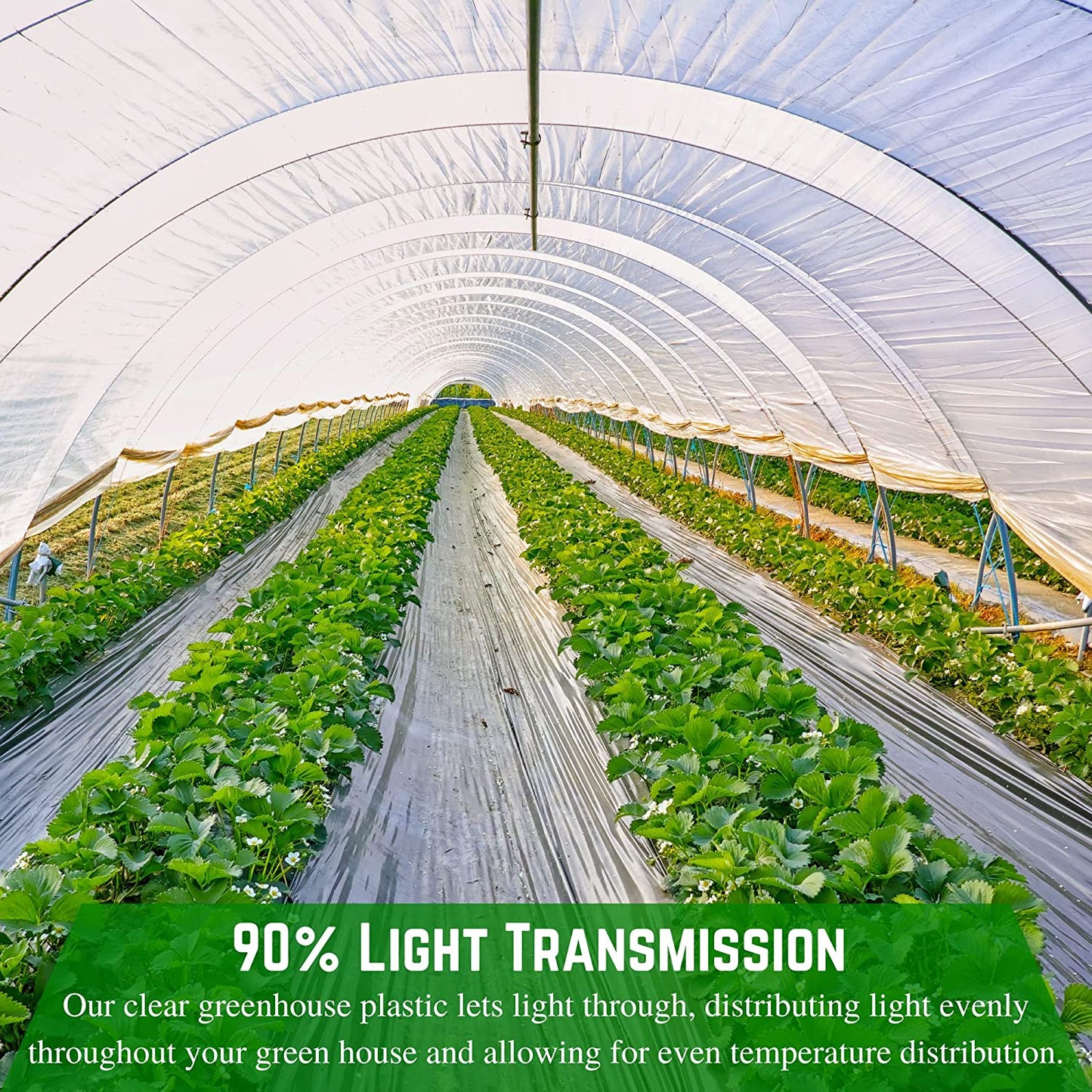 - Clear Greenhouse Plastic Sheeting - Ultra Durable - 8 Mil - (20' X 50') - 4 Year UV Resistant Polyethylene Greenhouse Film for Gardening, Farming, Agriculture