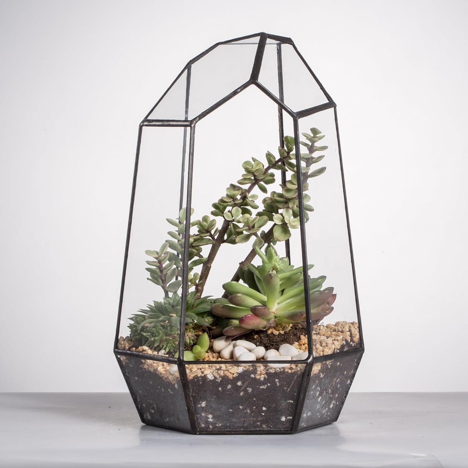 Geometric Plants Terrarium Planter - Glass Terrarium for Succulent, Cacti - 6.5X5.7X9.8 Inches - Indoor Tabletop Irregular Opened Container Pot for Home, Garden, Office Decor, Black (No Plants)