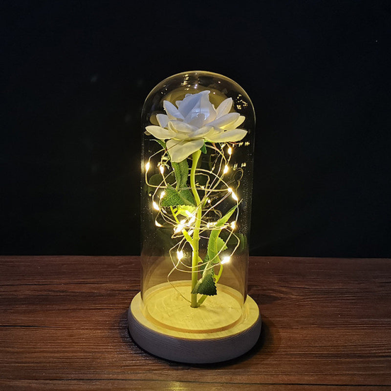 Valentines Day Gift for Girlfriend Eternal Rose LED Light Foil Flower in Glass Cover Mothers Day Wedding Favors Bridesmaid Gift