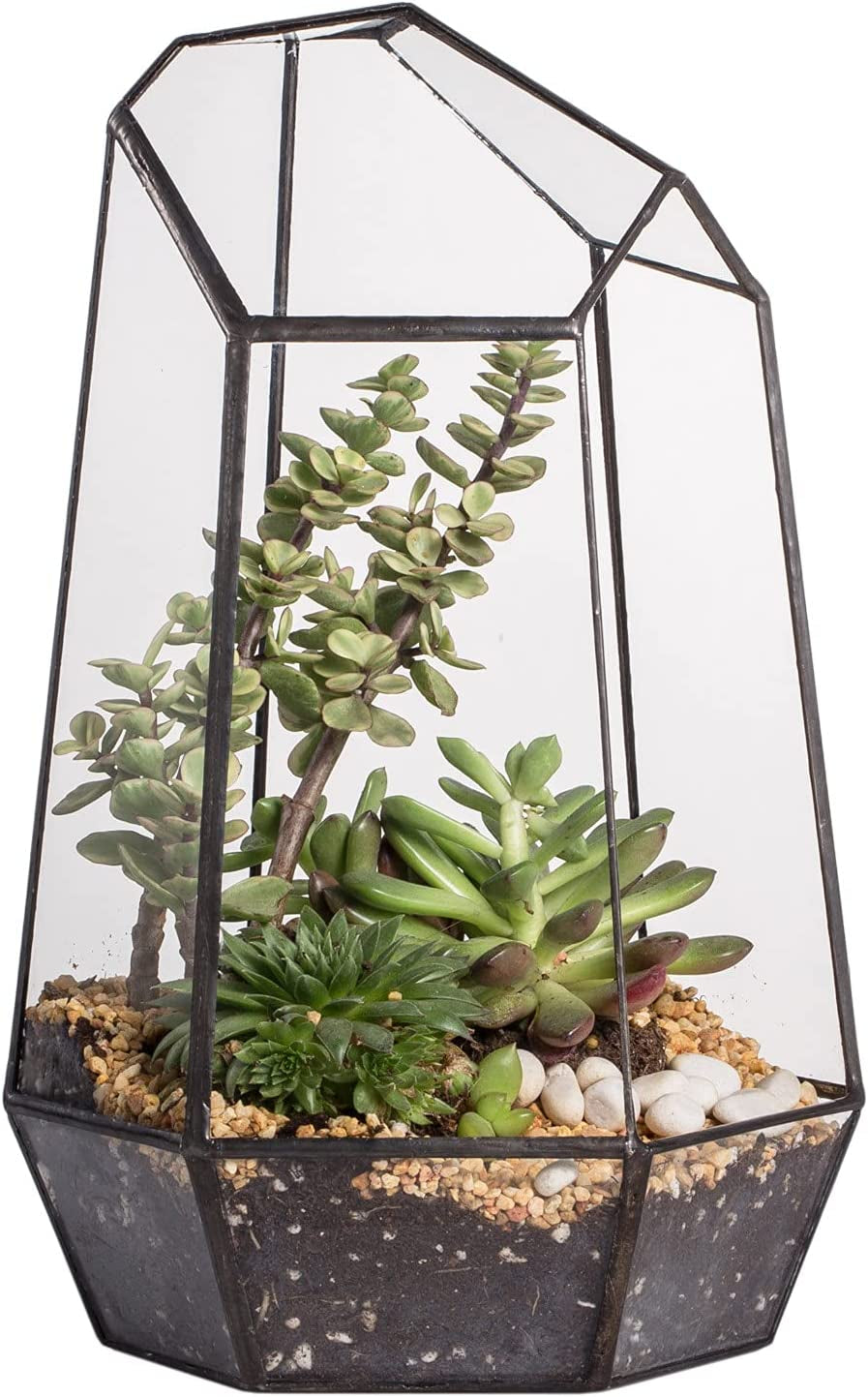 Geometric Plants Terrarium Planter - Glass Terrarium for Succulent, Cacti - 6.5X5.7X9.8 Inches - Indoor Tabletop Irregular Opened Container Pot for Home, Garden, Office Decor, Black (No Plants)