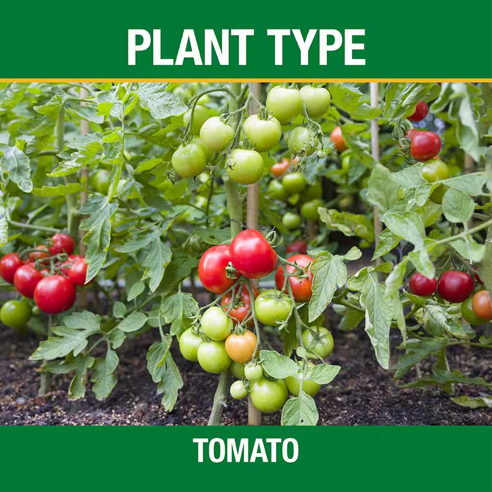 3.5 Lb. All Season Tomato and Vegetable Garden Plant Food plus Calcium (12-10-5)