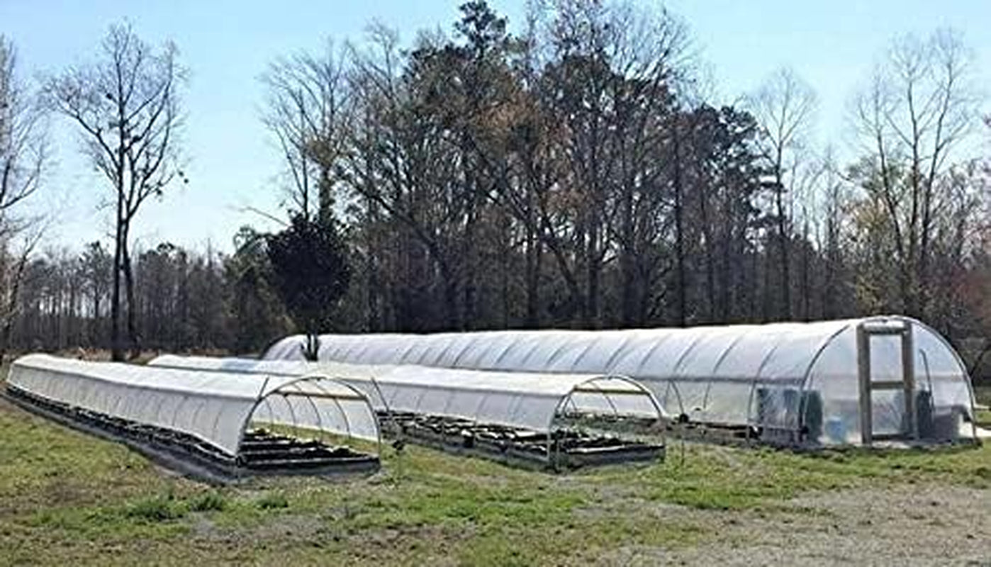 Greenhouse Plastic 4 Year 6 Mil UV Resistant Clear Polyethylene Film 40' X 50'