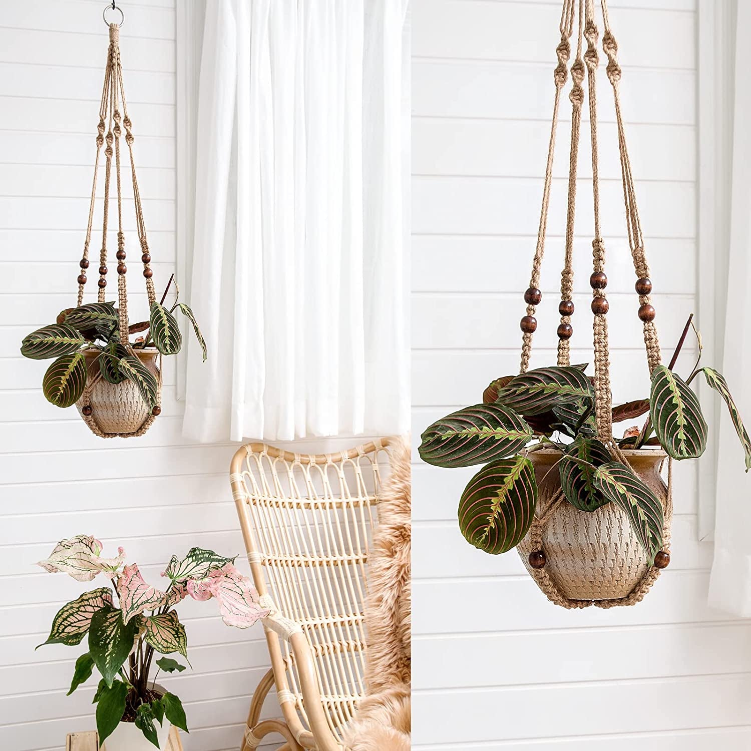 Macrame Plant Hanger 